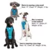 Kurgo® Tru-Fit Dog Harness image thumbnail 7