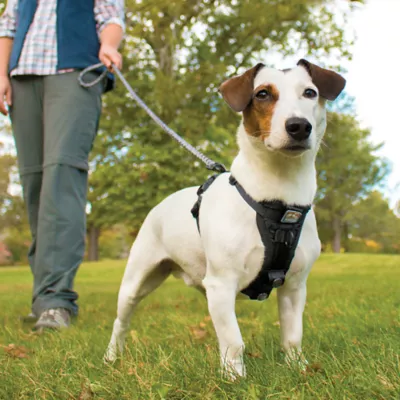 Product Kurgo® Tru-Fit Dog Harness