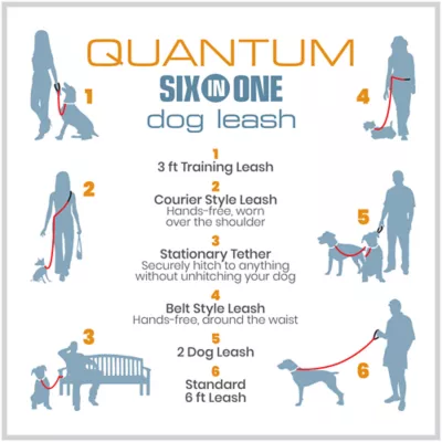 Kurgo® Quantum Dog Leash - Image 5