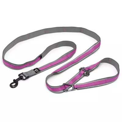 Product Kurgo® Quantum Dog Leash