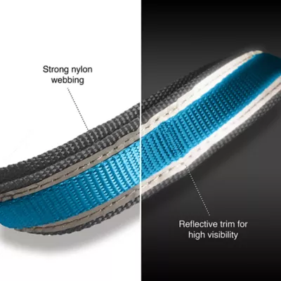 Product Kurgo® Quantum Dog Leash