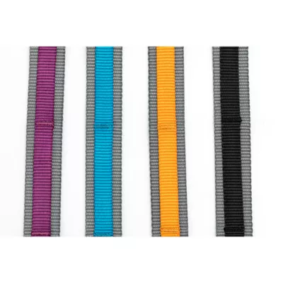 Product Kurgo® Quantum Dog Leash