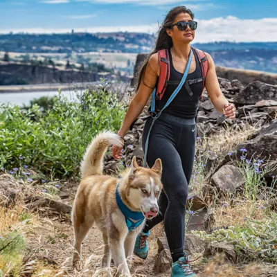 Product Kurgo® Quantum Dog Leash