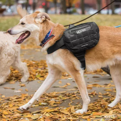Kurgo® RSG Pack Pannier - Image 5