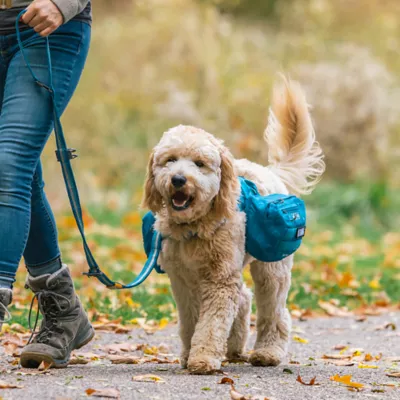 Kurgo® RSG Pack Pannier - Image 6