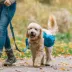 Kurgo® RSG Pack Pannier; Dog backpack, 2 zipper pockets image thumbnail 6