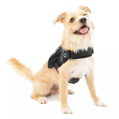 Kurgo® RSG Townie Harness for Dogs - Image 1