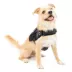 Kurgo® RSG Townie Harness for Dogs image thumbnail 1