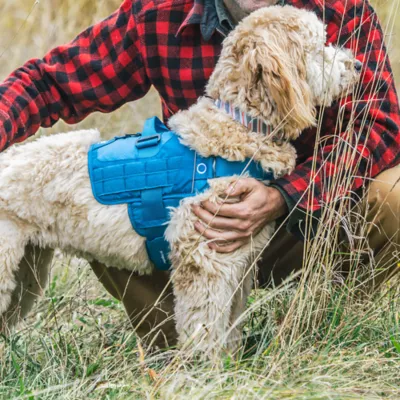 Kurgo® RSG Townie Harness for Dogs - Image 8