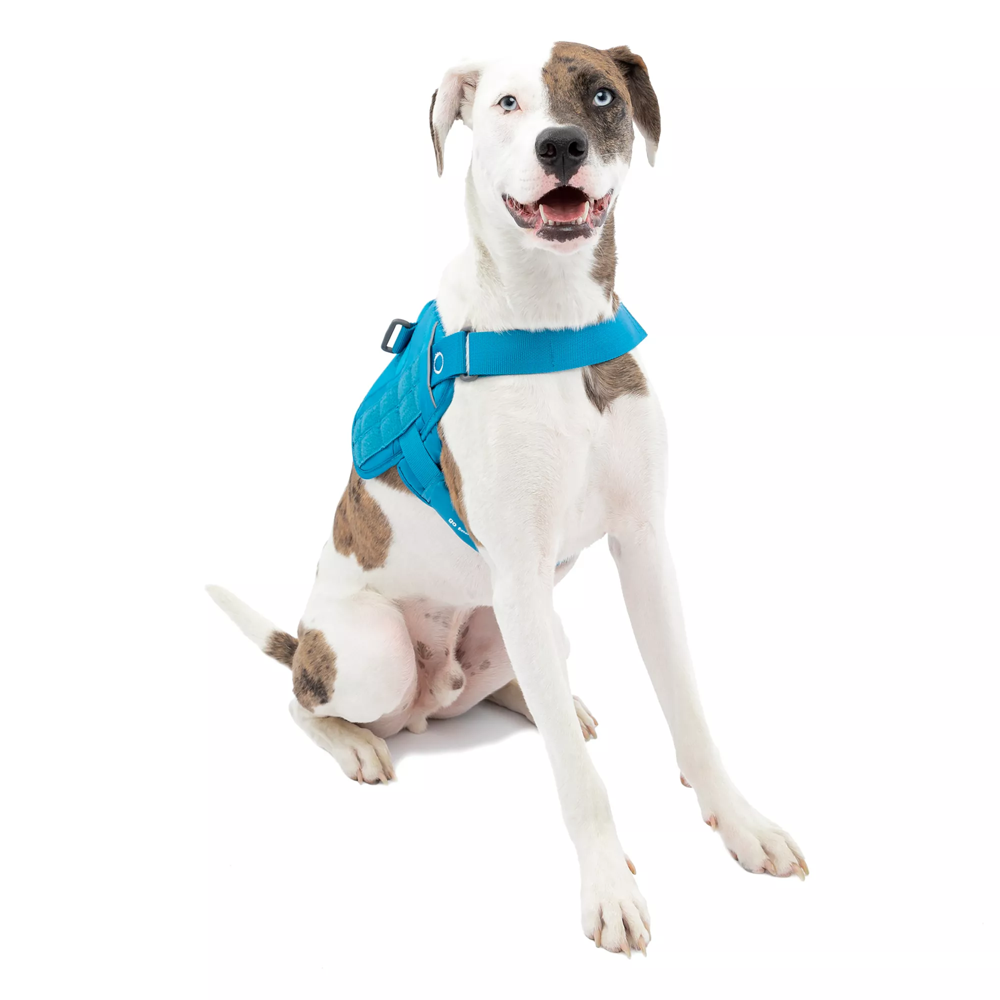 Kurgo® RSG Townie Harness for Dogs