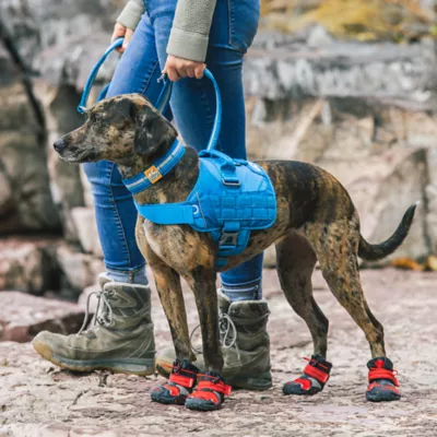 Product Kurgo® RSG Townie Harness for Dogs