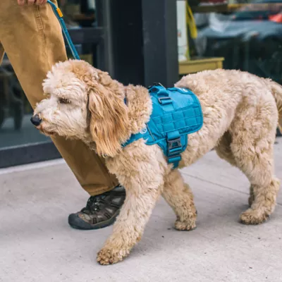 Product Kurgo® RSG Townie Harness for Dogs