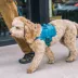 Kurgo® RSG Townie Harness for Dogs image thumbnail 8