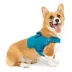 Kurgo® RSG Townie Harness for Dogs image thumbnail 1