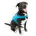 Kurgo® RSG Townie Harness for Dogs image thumbnail 1