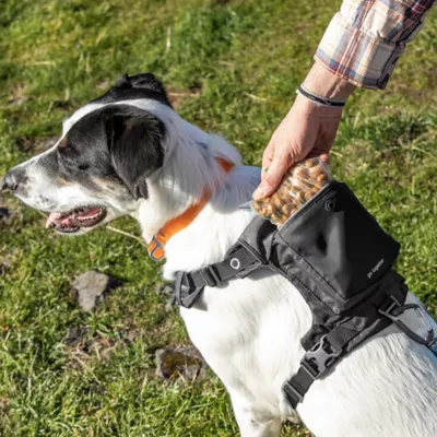 Product Kurgo® Stash n' Dash Harness