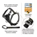Kurgo® Enhanced Strength Tru-Fit Smart Harness for Dogs image thumbnail 2