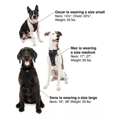 Product Kurgo Enhanced Strength Tru-Fit Smart Harness for Dogs