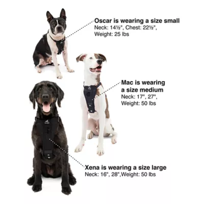 Product Kurgo® Enhanced Strength Tru-Fit Smart Harness for Dogs