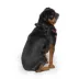 Canada Pooch Easy-On Step-In Dog Harness image thumbnail 3
