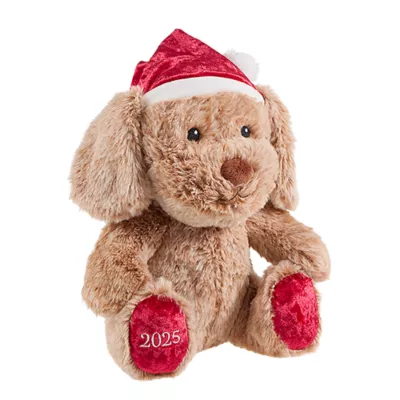 Product PetSmart Charities® Holiday Chance & Friends- Chance