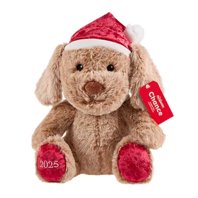 Product PetSmart Charities® Holiday Chance & Friends- Chance