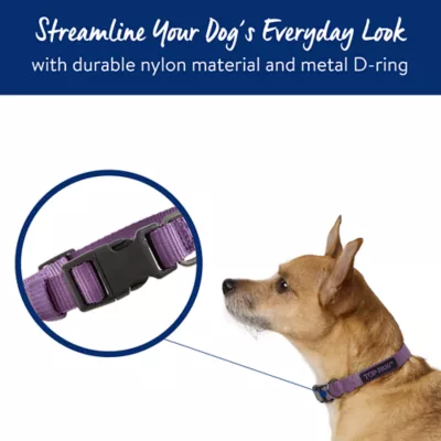 Product Top Paw® Basic Dog Collar