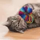 Product KONG, KONG Active, Cat Active Scrunchie