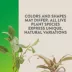 Thrive Tropical Live Small Terrarium Plant image thumbnail 3