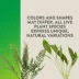 Thrive™ Tropical Live Terrarium Plant image thumbnail 3