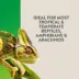 Thrive™ Tissue Cultured Live Terrarium Plant image thumbnail 2