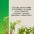 Thrive™ Tissue Cultured Live Terrarium Plant image thumbnail 3
