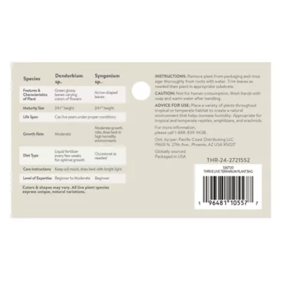 Thrive™ Tissue Cultured Live Terrarium Plant - Image 7