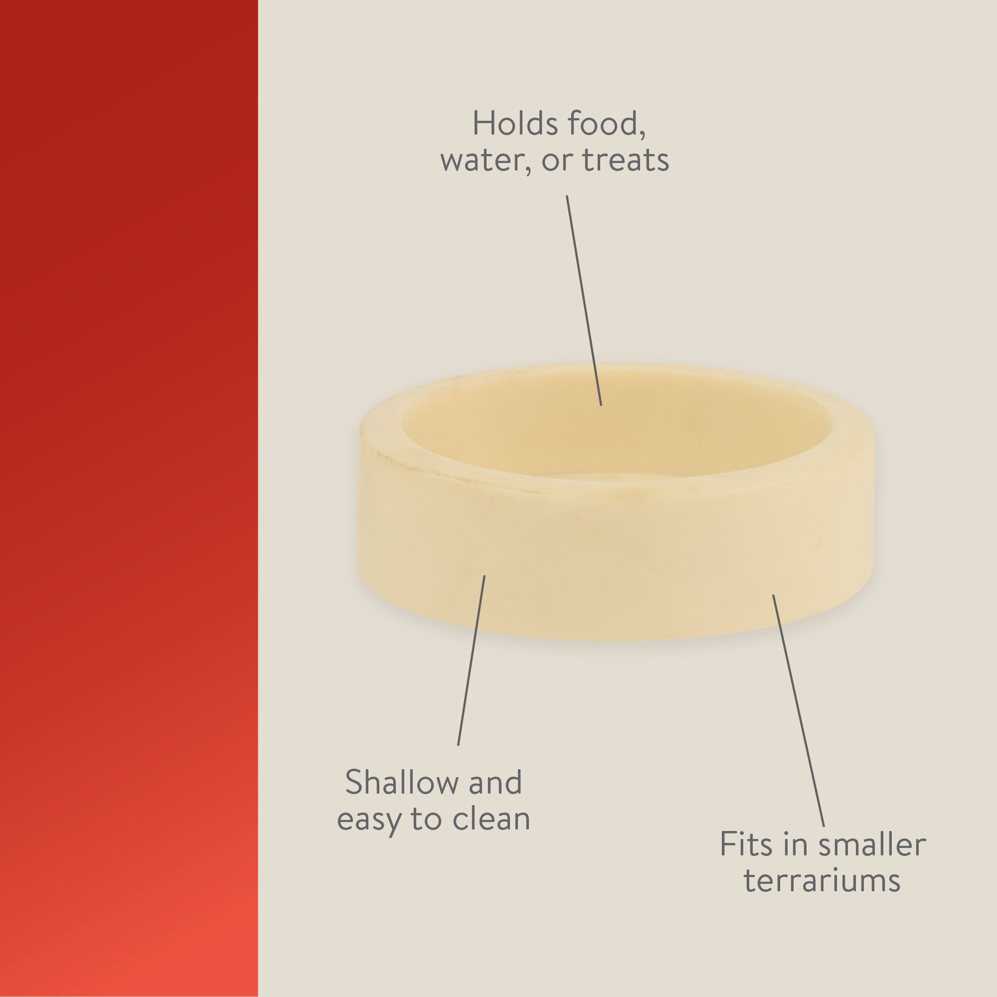 Thrive Feeding & Water Dish - Reptile Food & Water Bowl - thumbnail 4
