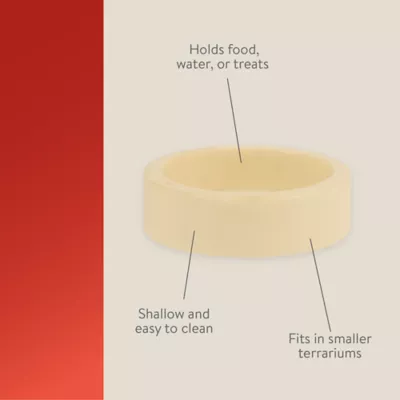 Product Thrive™ Feeding & Water Dish