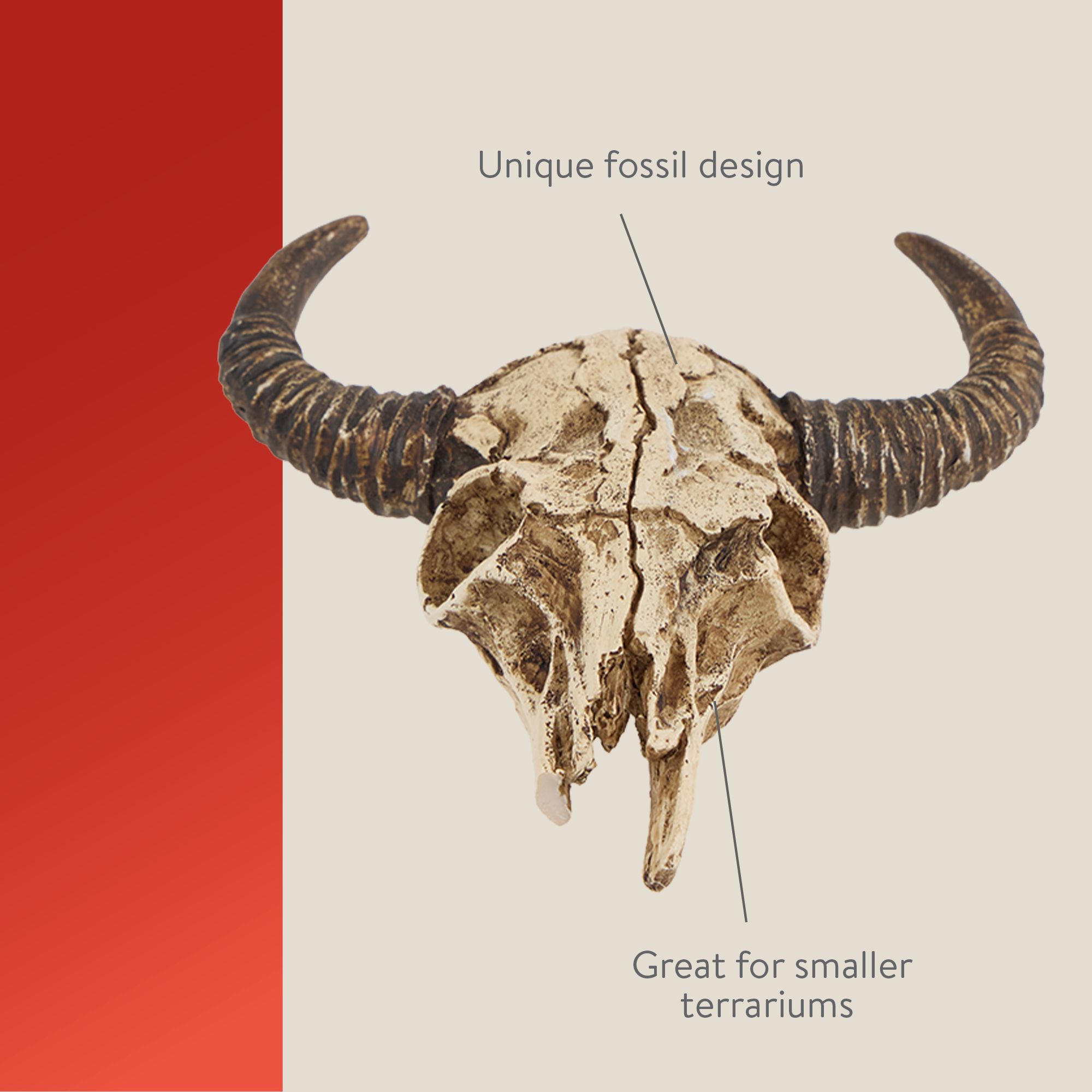 Thrive Bull Terrarium Décor - Terrarium Decor - thumbnail 3