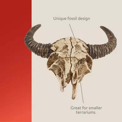 Product Thrive™ Bull Terrarium Décor