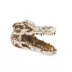 Thrive™ Crocodile Terrarium Décor image thumbnail 1