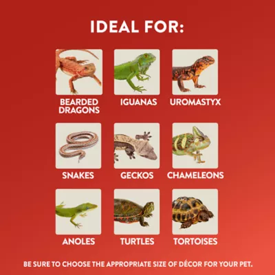 Product Thrive™ Crocodile Terrarium Décor