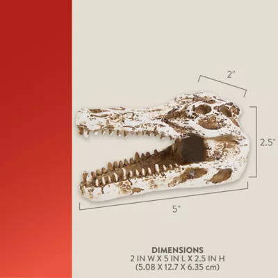 Product Thrive™ Crocodile Terrarium Décor