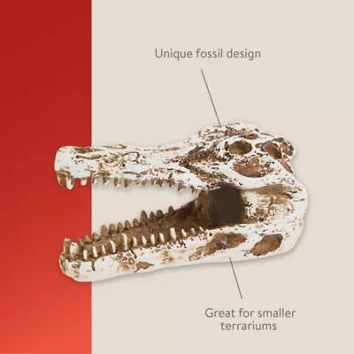 Product Thrive™ Crocodile Terrarium Décor