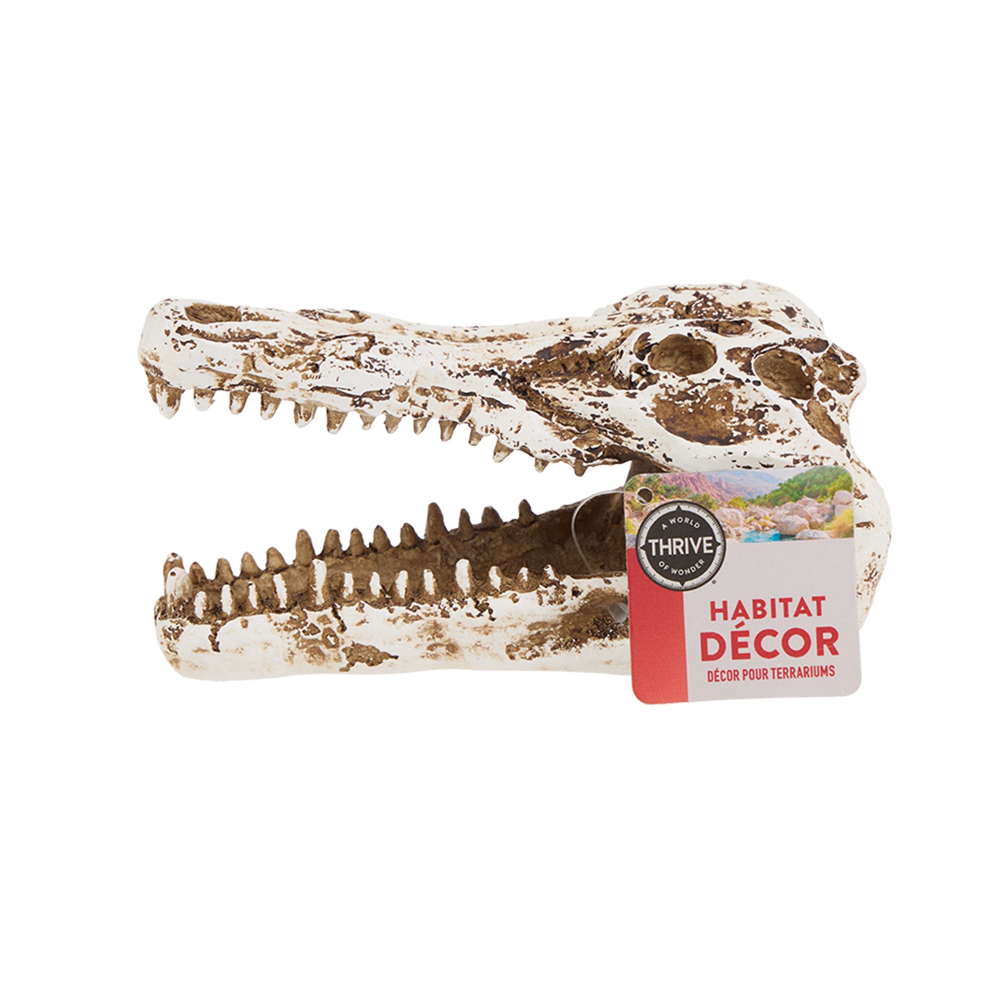 Thrive Crocodile Terrarium Décor - Terrarium Decor - thumbnail 6