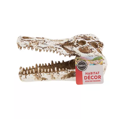 Product Thrive™ Crocodile Terrarium Décor