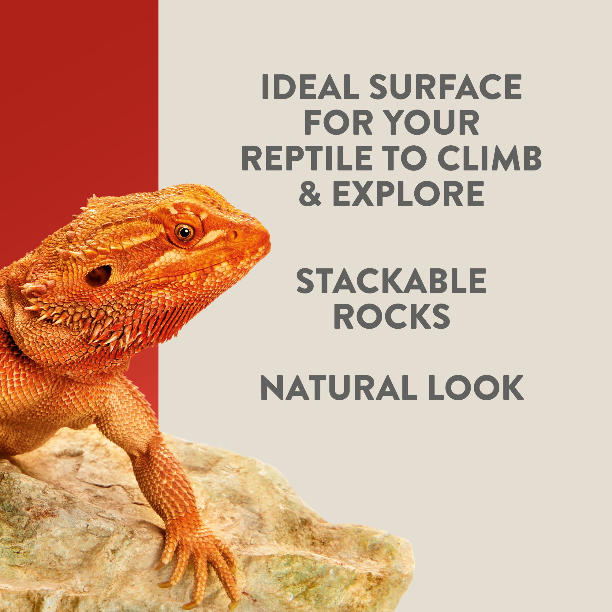 Thrive Beetle Habitat Décor - Terrarium Decor - 2 ct - thumbnail 4