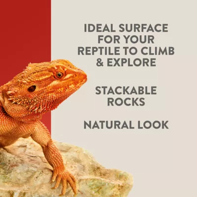 Product Thrive™ Beetle Habitat Décor