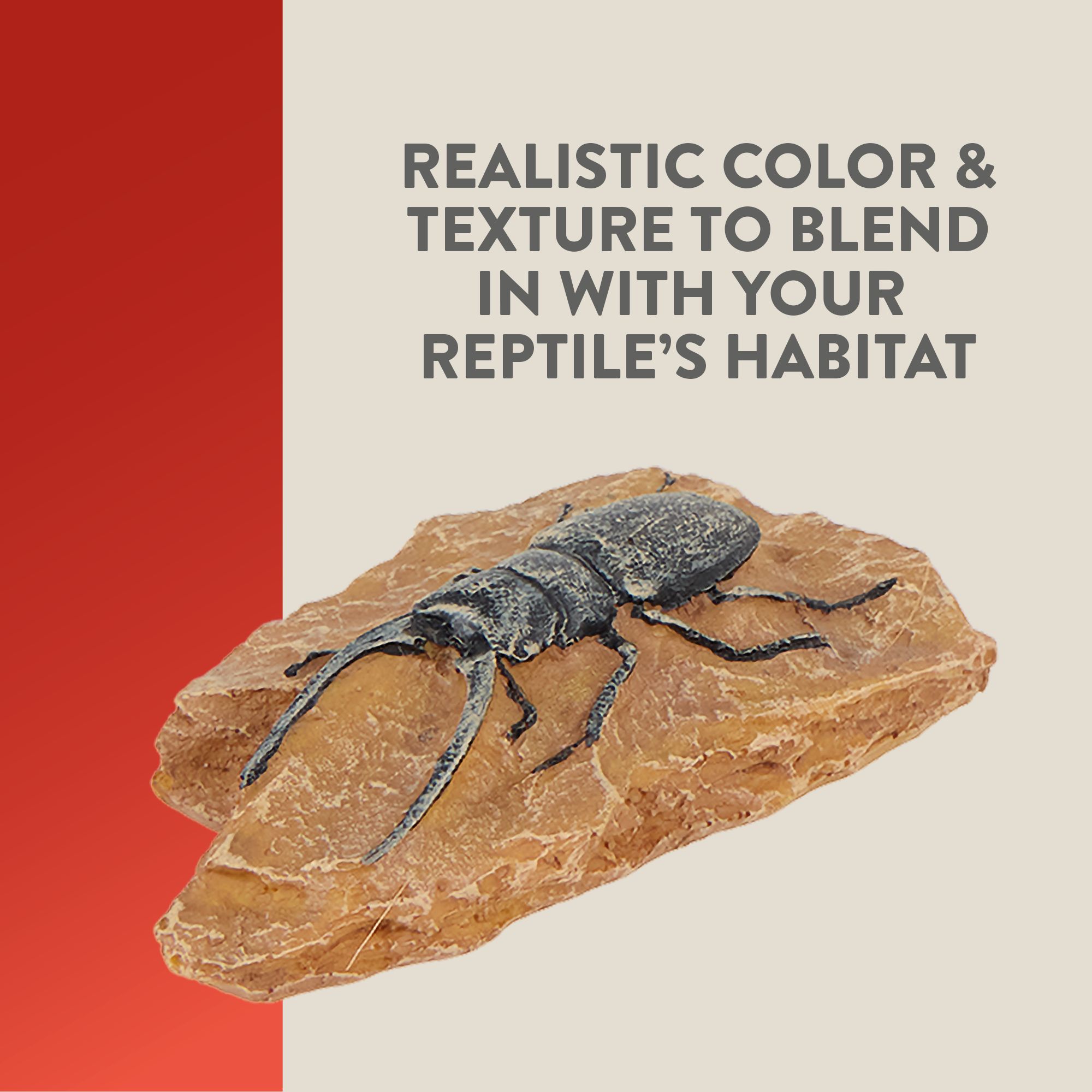 Thrive Beetle Habitat Décor - Terrarium Decor - 2 ct - thumbnail 5