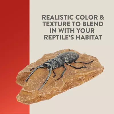 Product Thrive™ Beetle Habitat Décor
