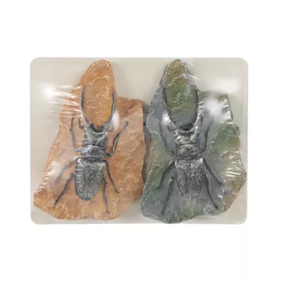 Product Thrive™ Beetle Habitat Décor