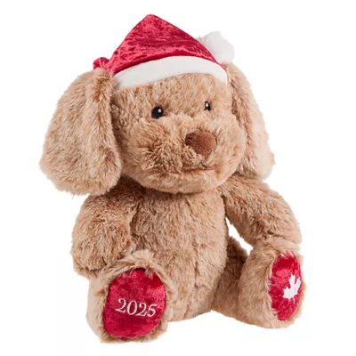 Product PetSmart Charities® Holiday Chance & Friends Dog Toy- Canada Chance