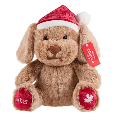 Product PetSmart Charities® Holiday Chance & Friends Dog Toy- Canada Chance